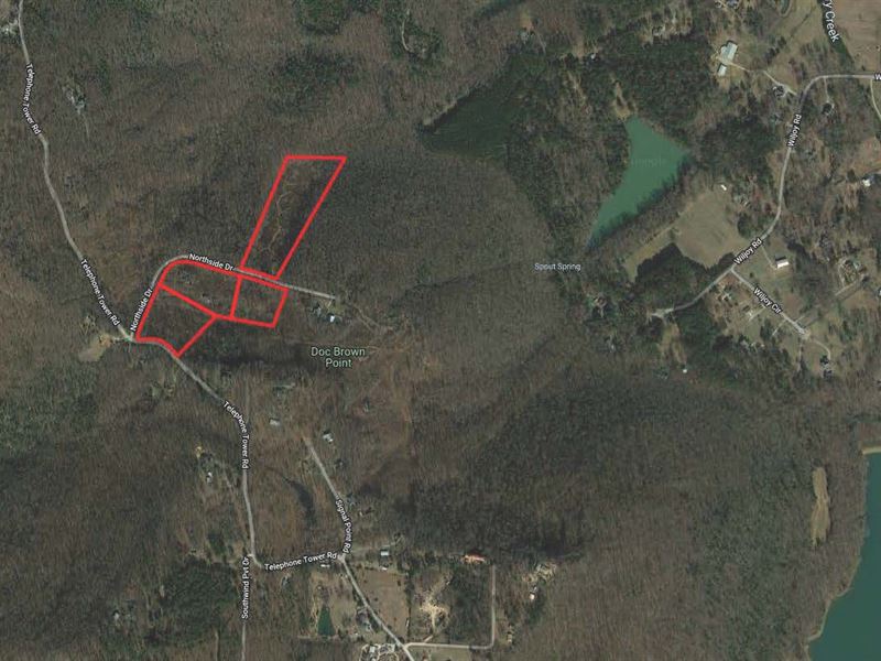 Auction 21 Acres in Lacey's Spring : Laceys Spring : Morgan County : Alabama