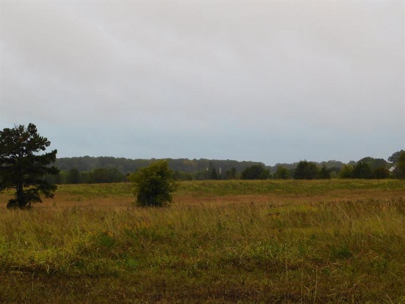 Vacant Land, Open Pasture : Pike Road : Montgomery County : Alabama