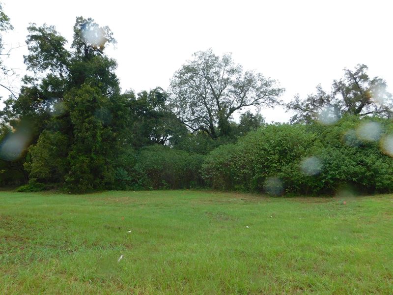 Vacant Land : Montgomery : Montgomery County : Alabama