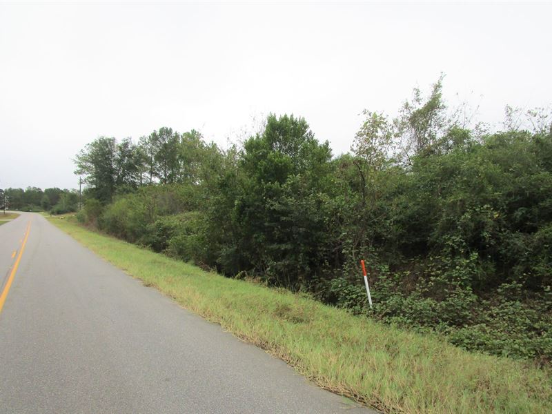 29.4 Acres Of Residential Land : Cowarts : Houston County : Alabama