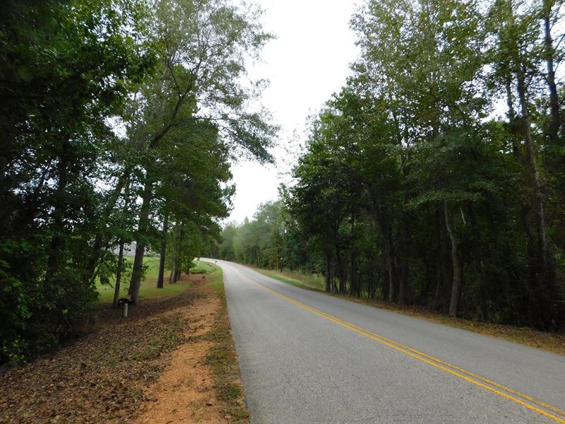 8 Residential Lots & Vacant Land : Cottondale : Tuscaloosa County : Alabama