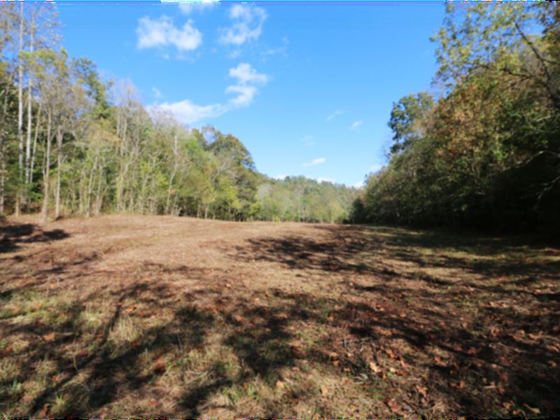 73.9 Mostly Wooded Acres, 3 Tracts : Bloomington Springs : Putnam County : Tennessee