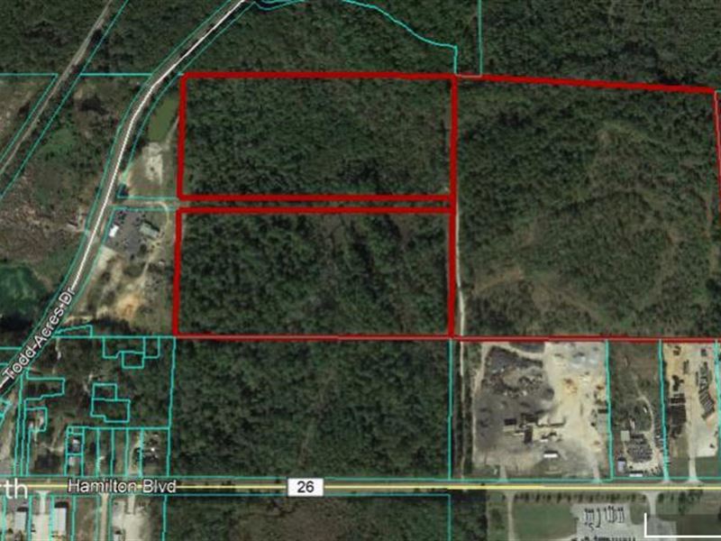 Vacant Land in Theodore, Al : Theodore : Mobile County : Alabama
