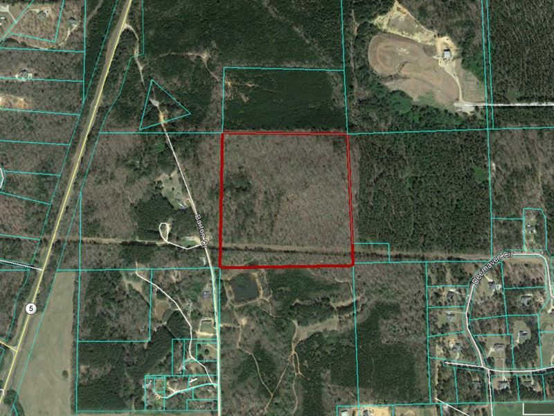 40 Acres Of Vacant Land : Centerville : Bibb County : Alabama