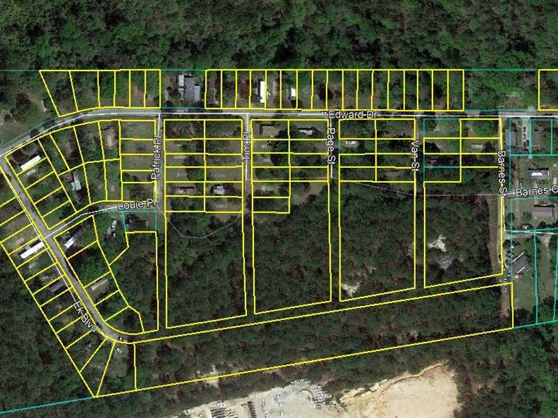 93 Lot Mobile Home Park & 6 Ac : Macon : Bibb County : Georgia