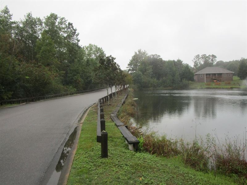 44 Residential Lots : Crestview : Okaloosa County : Florida