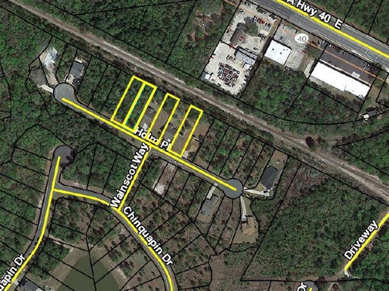 Four Residential Lots : Saint Marys : Camden County : Georgia