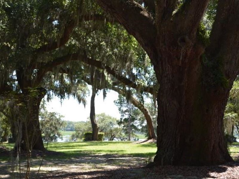 Marsh Front Residential Lot : Seabrook : Beaufort County : South Carolina