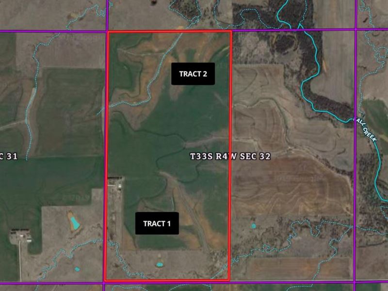 590 Acres Grassland & Cropland : Bluff City : Harper County : Kansas