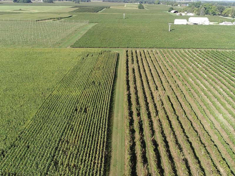 Land Auction in Michigan : Paw Paw : Van Buren County : Michigan