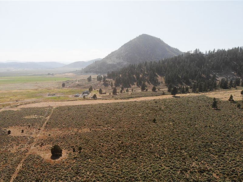 To Make an Offer, Please Call : Portola : Plumas County : California