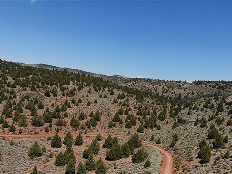 To Make an Offer, Please Call : Susanville : Lassen County : California