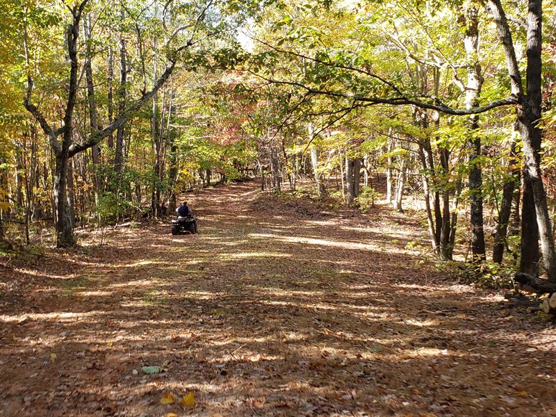 Premier Hunting Land Auction : Penhook : Franklin County : Virginia
