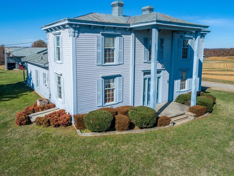 Danville VA 215 Ac Farm Auction Dec : Danville : Pittsylvania County : Virginia