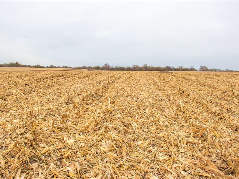 Christian County Farmland Online : Mount Auburn : Christian County : Illinois