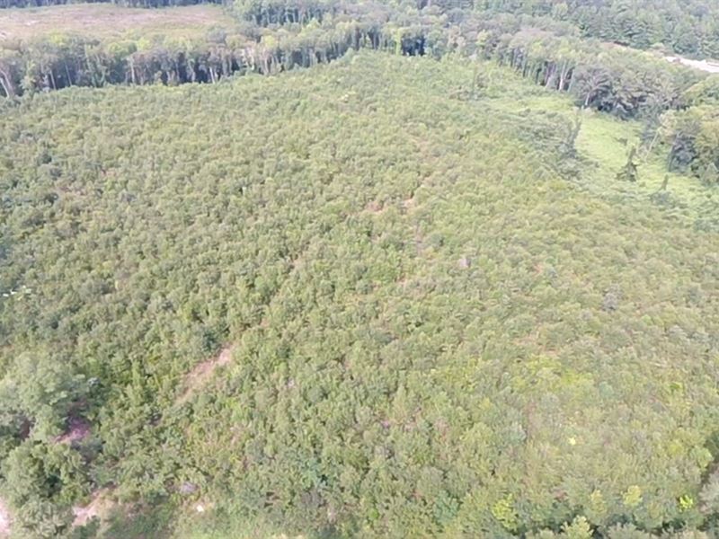 35+/- Acres Located in Richmond Cty : Rockingham : Richmond County : North Carolina
