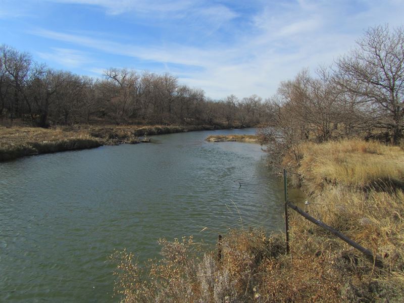 Hunting with Productive Cultivation : Pfeifer : Ellis County : Kansas