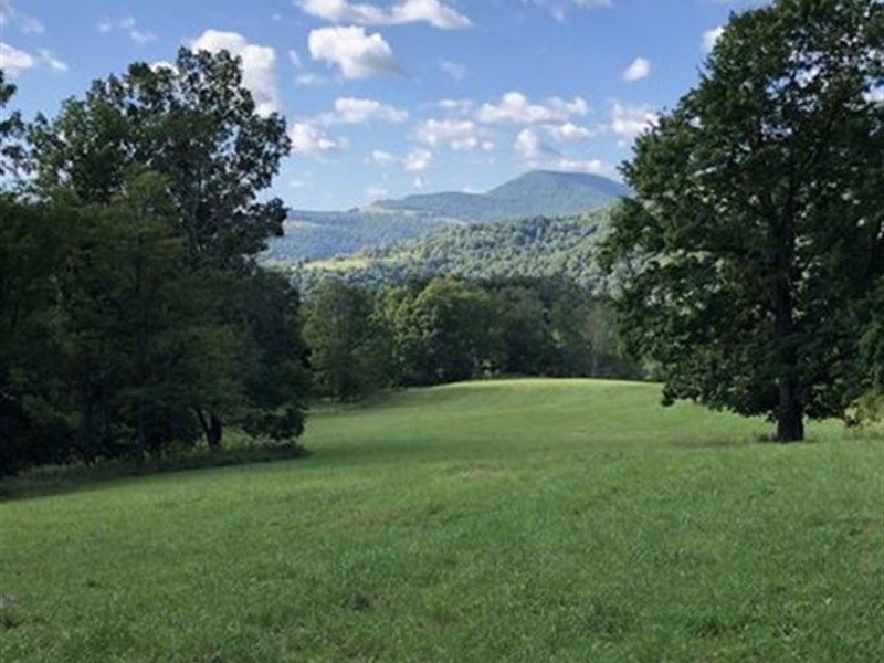 Tygart Valley Timberlands : Elkins : Barbour County : West Virginia