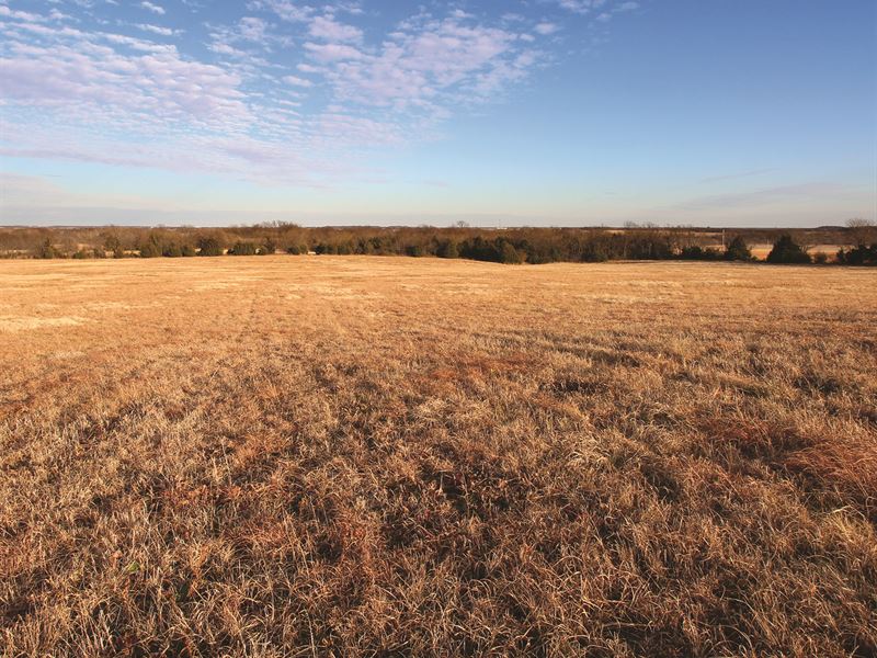 Land Auction In 2 Counties, Kansas : Cherryvale : Montgomery County : Kansas