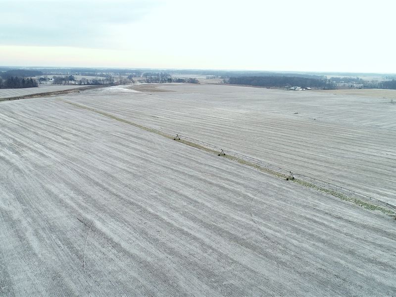Land Auction in Indiana : Winamac : Pulaski County : Indiana