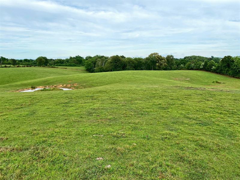 50 Acres Auction Warren/Edmonson : Smiths Grove : Edmonson County : Kentucky