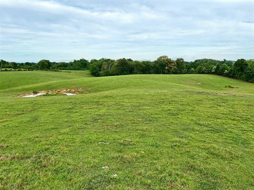 50 Acres Auction Warren/Edmonson : Smiths Grove : Edmonson County : Kentucky