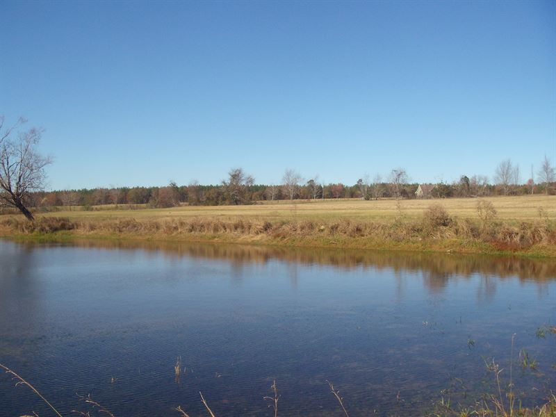 Estate Auction : Dudley : Bleckley County : Georgia