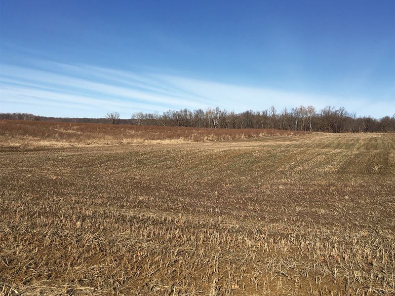 Absolute Land Auction in Indiana : Princeton : Gibson County : Indiana