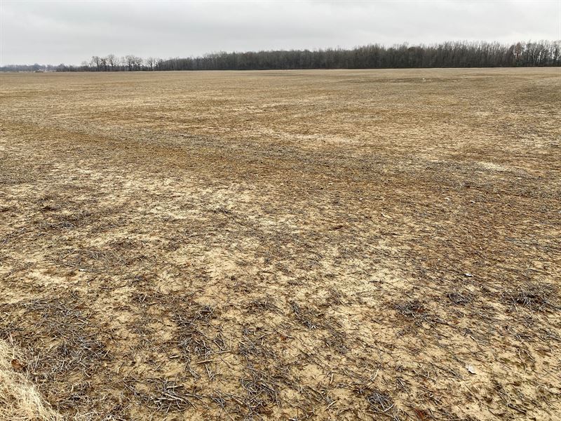 Investment Farmland : Poplar Bluff : Butler County : Missouri