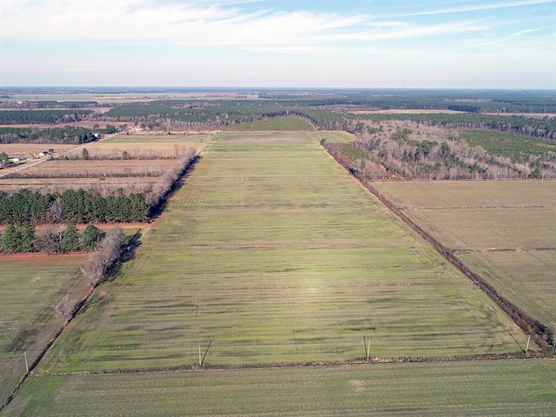 Chowan County Farmland : Edenton : Chowan County : North Carolina