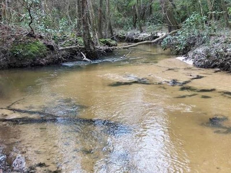 100 Acres Hunting Timberland for Sa : Bassfield : Jefferson Davis County : Mississippi