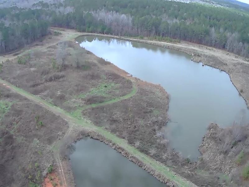 635 Acres with 4 Pole Barns : Talbotton : Talbot County : Georgia