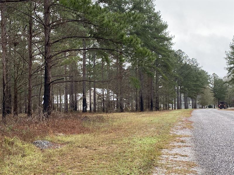Vacant Land & 23 Residential Lots : Vienna : Dooly County : Georgia
