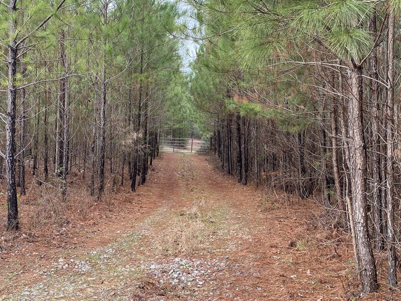 Agricultural / Residential Land : Thomaston : Upson County : Georgia