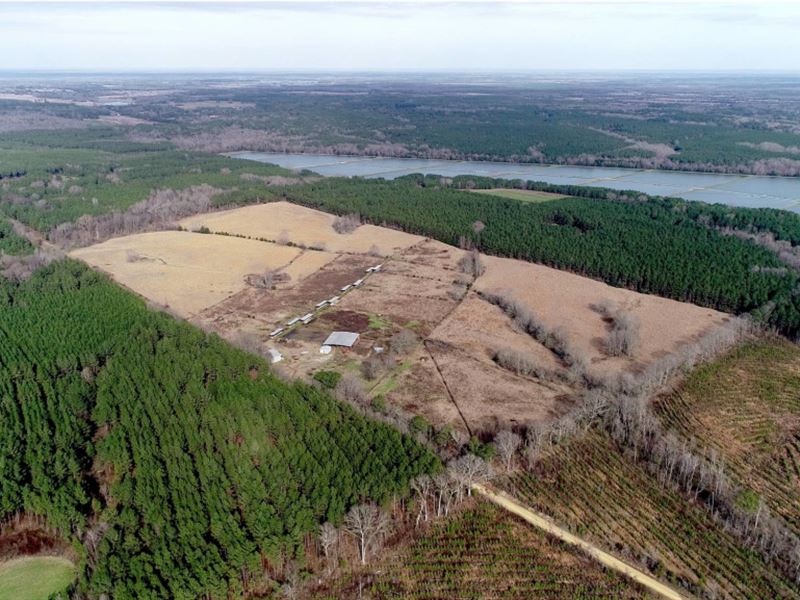 80 Acres in Kemper County, MS : Scooba : Kemper County : Mississippi