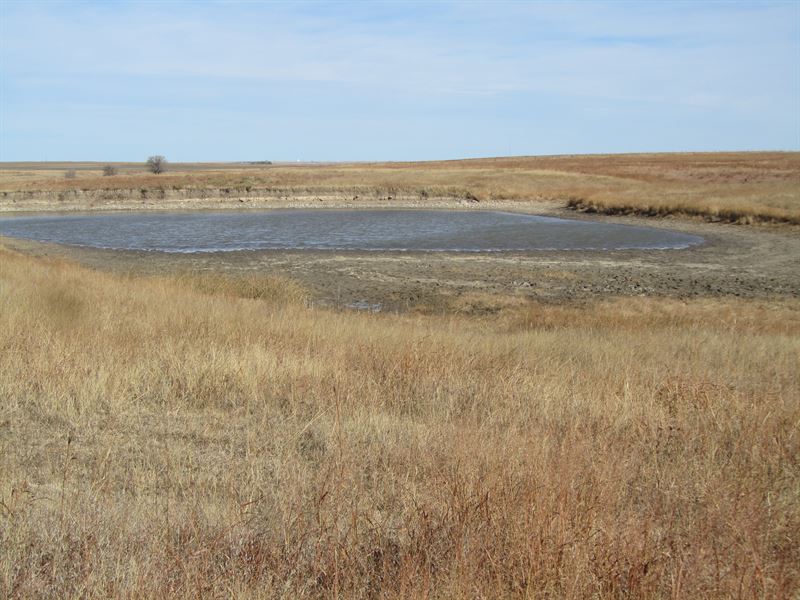 Fenced Grassland with Water : Rush Center : Rush County : Kansas