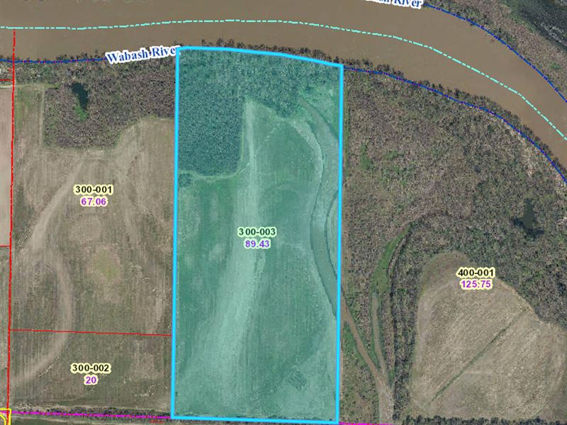 80 Acres to Sell at Auction : Hutsonville : Crawford County : Illinois
