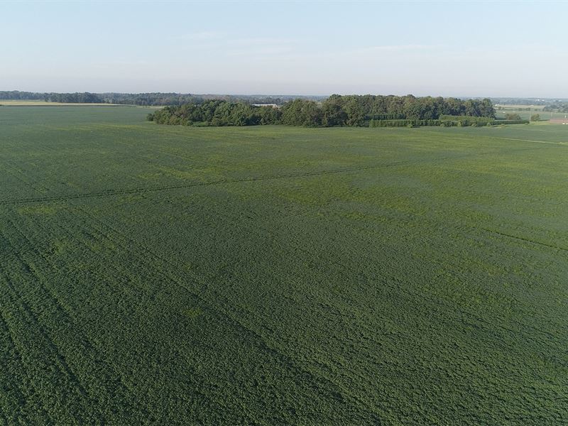 Spectacular Real Estate Auction : Greenfield : Hancock County : Indiana