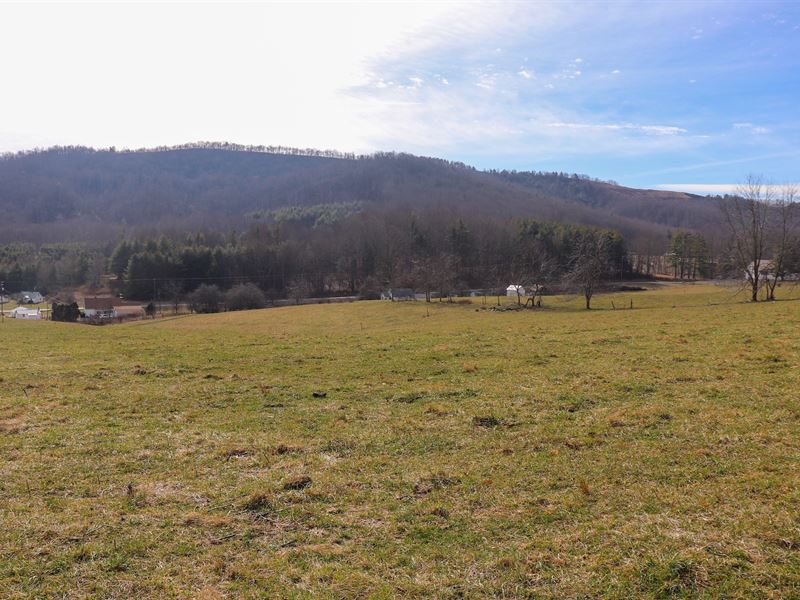 Farm Land at Auction in Floyd VA : Willis : Floyd County : Virginia