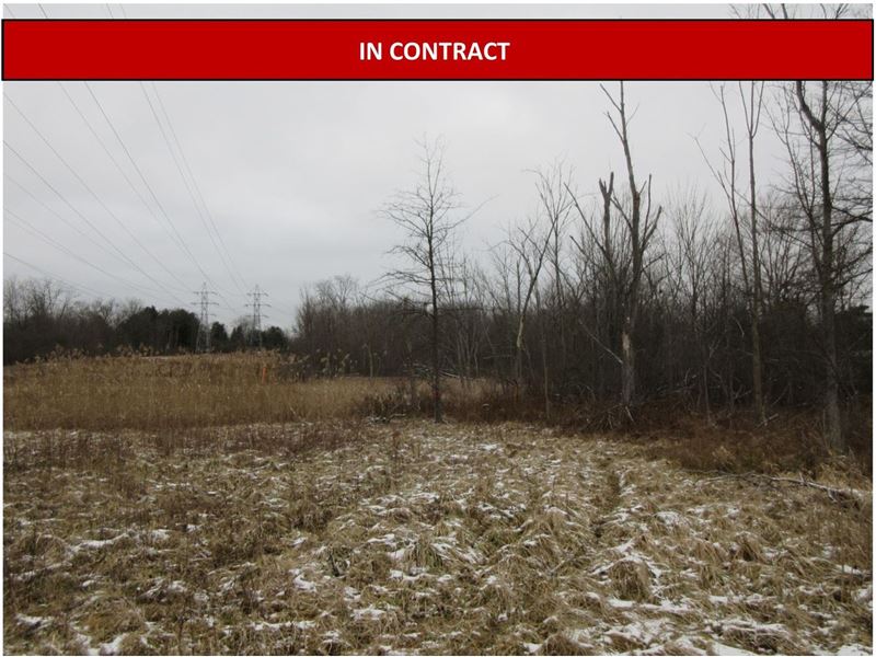 Cuyahoga County Land Auction : Oakwood : Cuyahoga County : Ohio