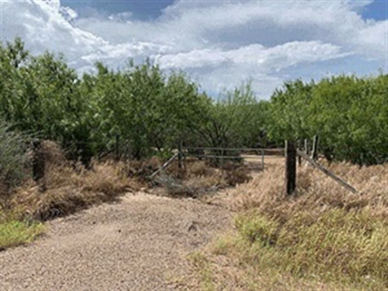 Residential Land in Mission TX : Mission : Hidalgo County : Texas