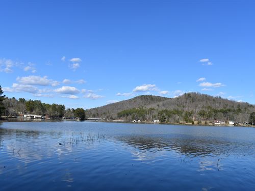 Absolute Auction Waterfront Lot : Ashville : Saint Clair County : Alabama