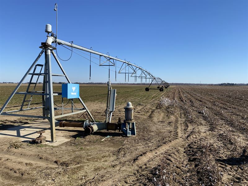 East Clay County, AR Farmland : Rector : Clay County : Arkansas