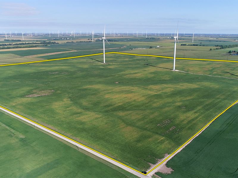 Farmland & Wind Income Auction : Danville : Vermilion County : Illinois