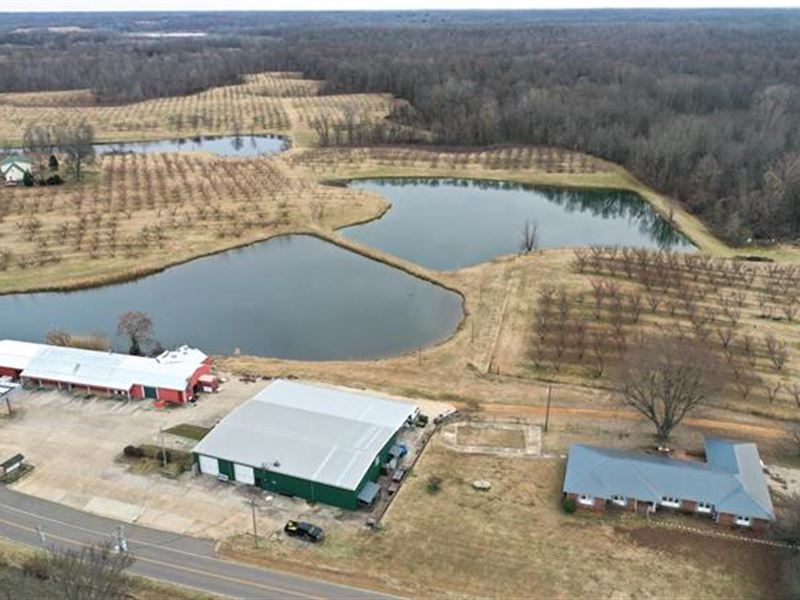 To Make an Offer, Please Call : Troy : Obion County : Tennessee