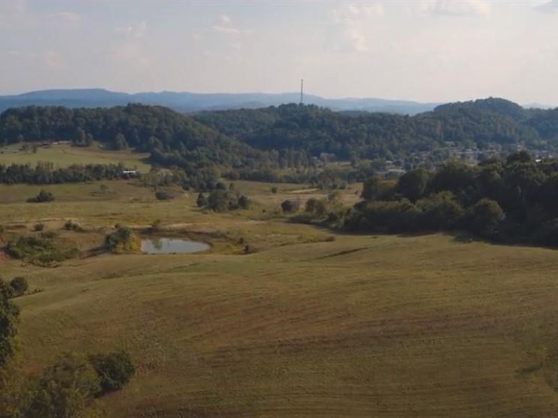East Tennessee Farm Land Auction : Rogersville : Hawkins County : Tennessee