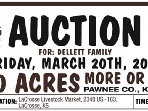 Pawnee Idle Cultivation : Rush Center : Pawnee County : Kansas