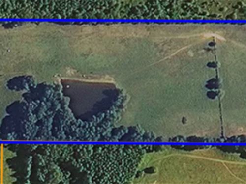 Farm And Ranch Auction : Judsonia : White County : Arkansas