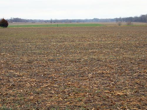 Land Auction In Gibson Co., Indiana : Francisco : Gibson County : Indiana
