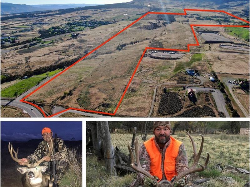 Trophy Mule Deer Hunting : Battlement Mesa : Garfield County : Colorado
